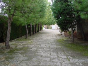 DSC07455