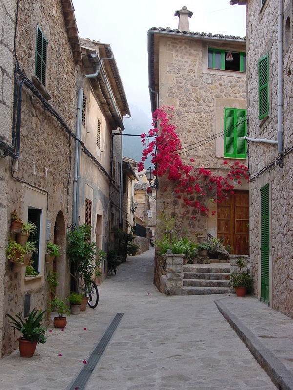 Calle Canonge