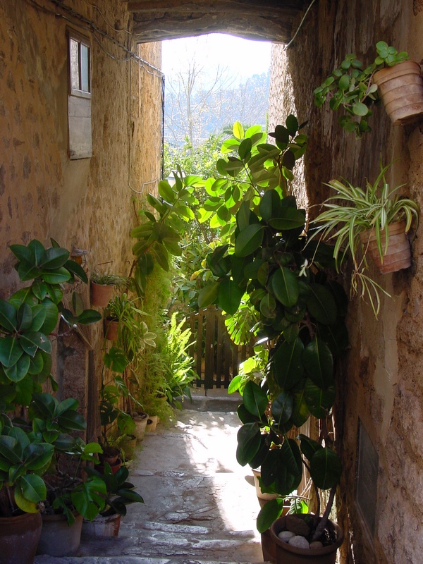 Callejon de Valldemossa